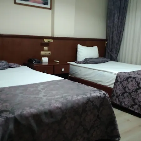 Hotel Aksular